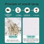 Mite Removal Spray | Effective Dust Mite & Bed Bug Killer | Indoor Cleaning Solution for Mattresses, Home & Garden | Anti-Mite Spray for Bedding and Clothes_200ml Each (Pack of 1) (Pack of 1)