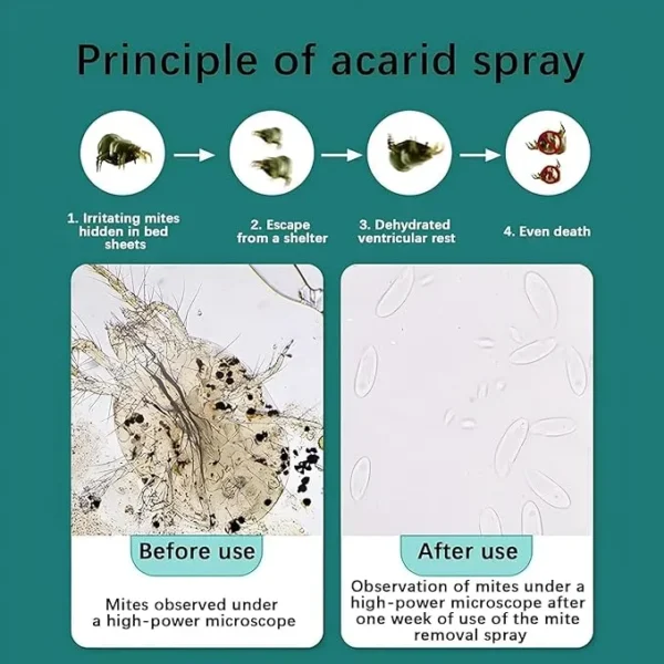 Mite Removal Spray | Effective Dust Mite & Bed Bug Killer | Indoor Cleaning Solution for Mattresses, Home & Garden | Anti-Mite Spray for Bedding and Clothes_200ml Each (Pack of 1) (Pack of 1)